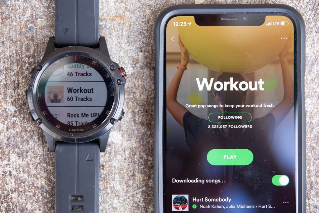 Smartwatch Garmin Forerunner 645 