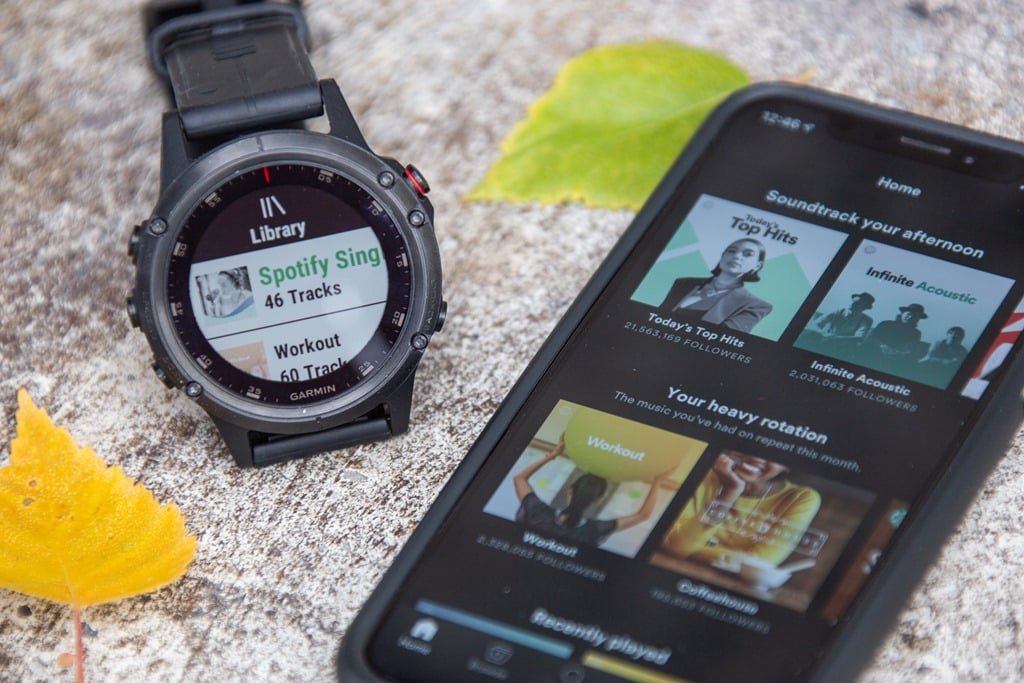 Smartwatch Garmin Forerunner 645 