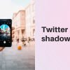 twitter-shadowban