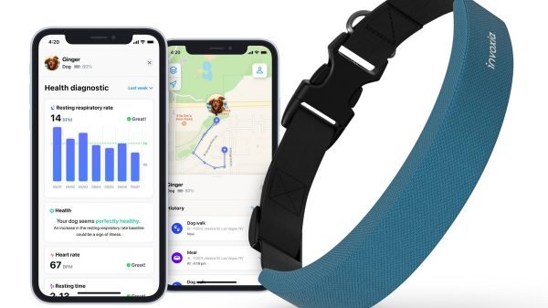 invoxia smart dog collar