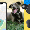 pet tracker