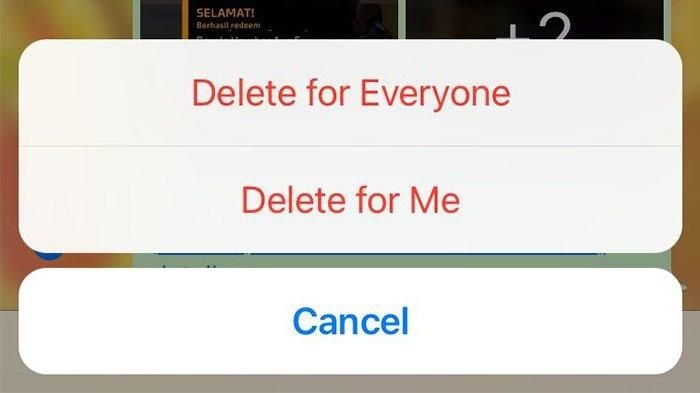 Hapus pesan di WhatsApp (sumber: indonesia.postsen.com) 