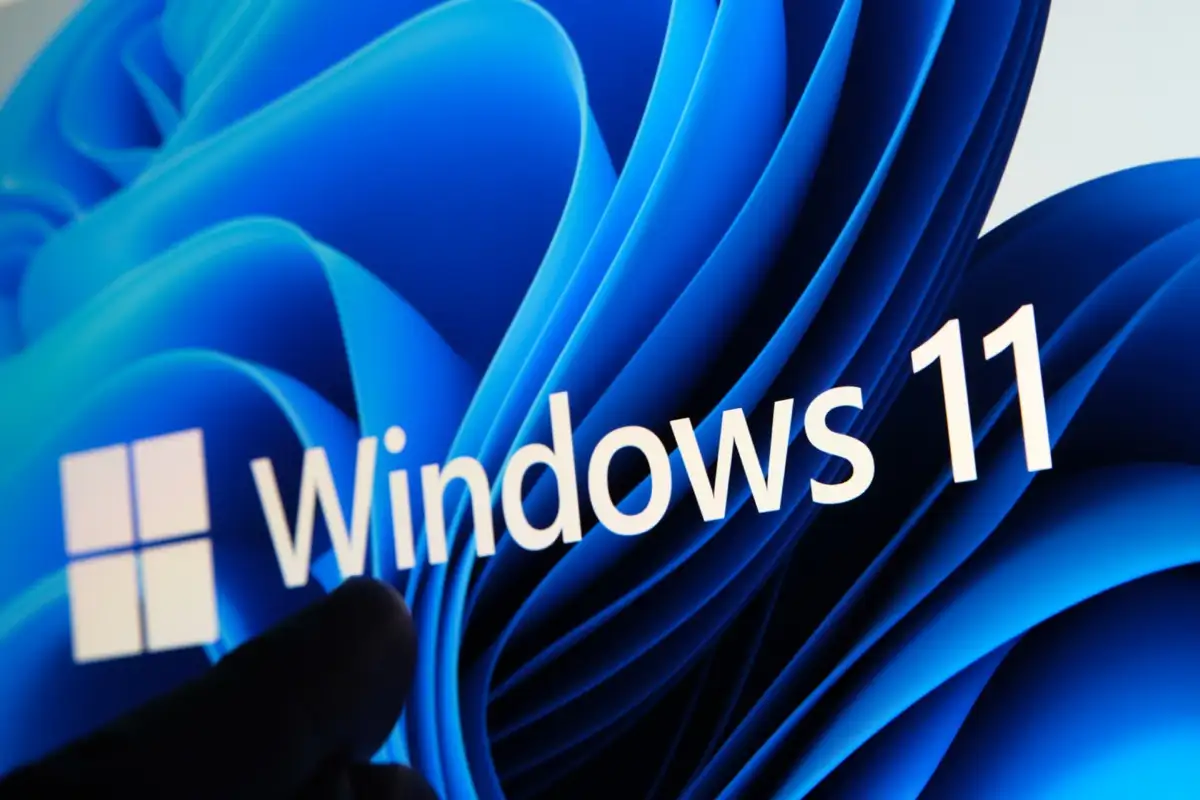 Windows 11_1