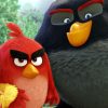 Angry Birds_1_1