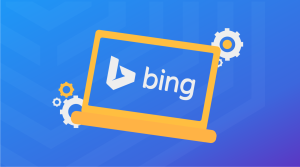 Bing sistem_1
