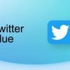 twitter blue