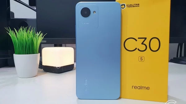 Realme C30s_1_1