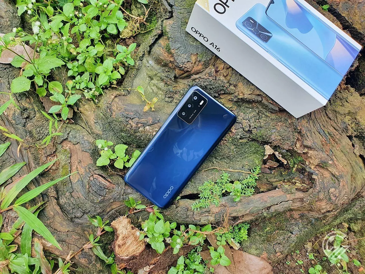 HP rekomendasi Ramadhan