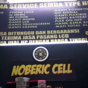 Noberic Cell_1