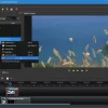 Video Editor_1a