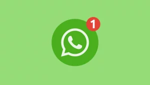 Whatsapp app_2wa