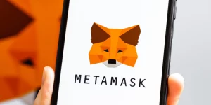 MetaMask app_2b