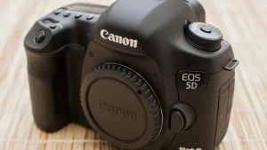 Canon EOS 5D Mark II_2b