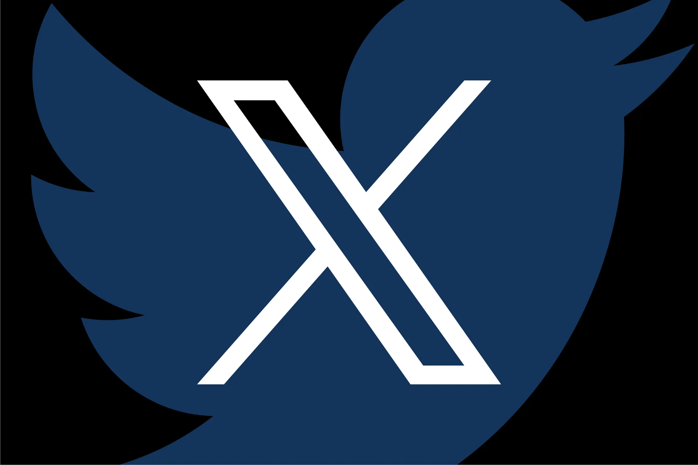 Twitter Blue X_1a