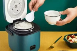 Rice Cooker Mini_2b