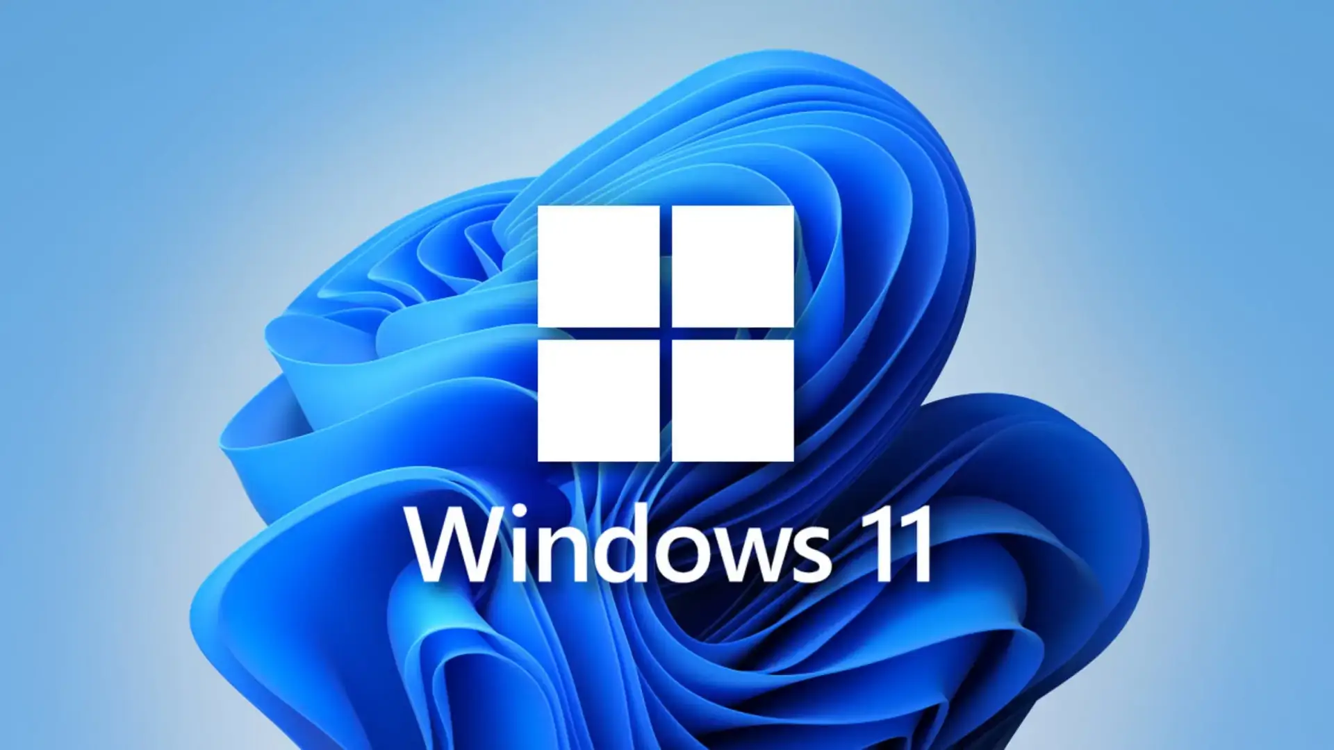 Windows 11_2b