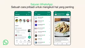 WhatsApp Channel_3c
