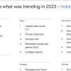 Google Year in Search 2023 Indonesia_1a