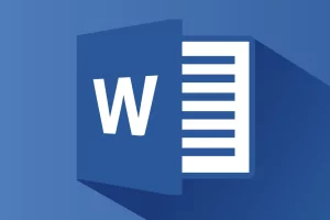 Microsoft Word_2b