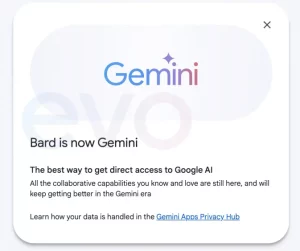 Google Bard Gemini_2b