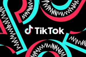 TikTok Application_3c