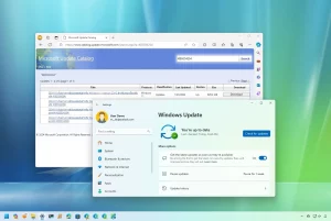 Update Windows 11_2b