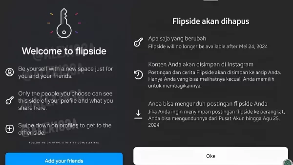 Flipside_1a