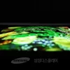 OLED Screen Samsung_1a