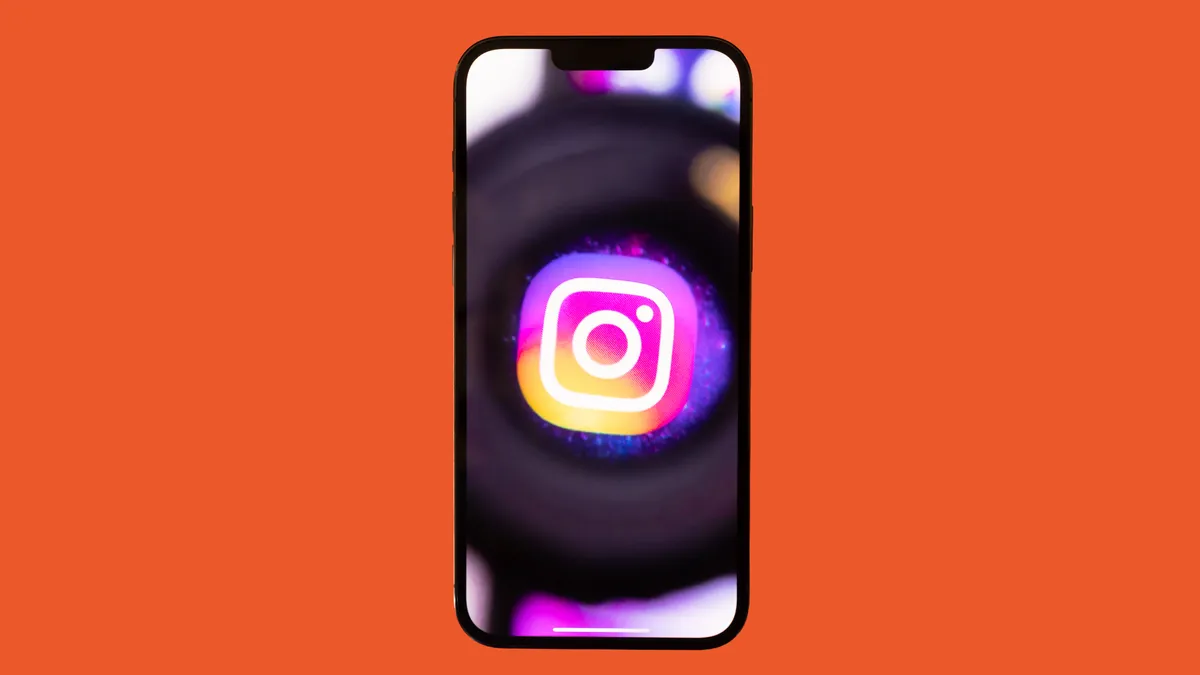 Instagram Application_1a