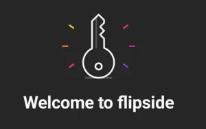 Instagram Flipside_3c