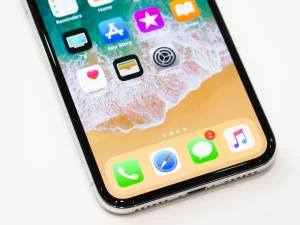Bug Screen Apple_3c