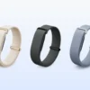 Fitbit Air Elevated Modern Band