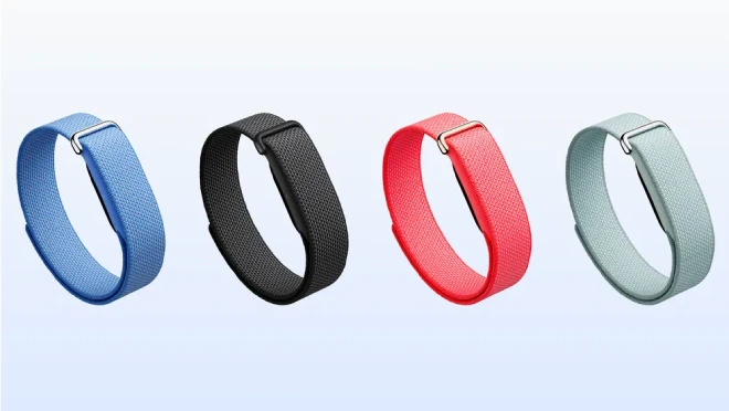 Fitbit Air Performance Loop Band
